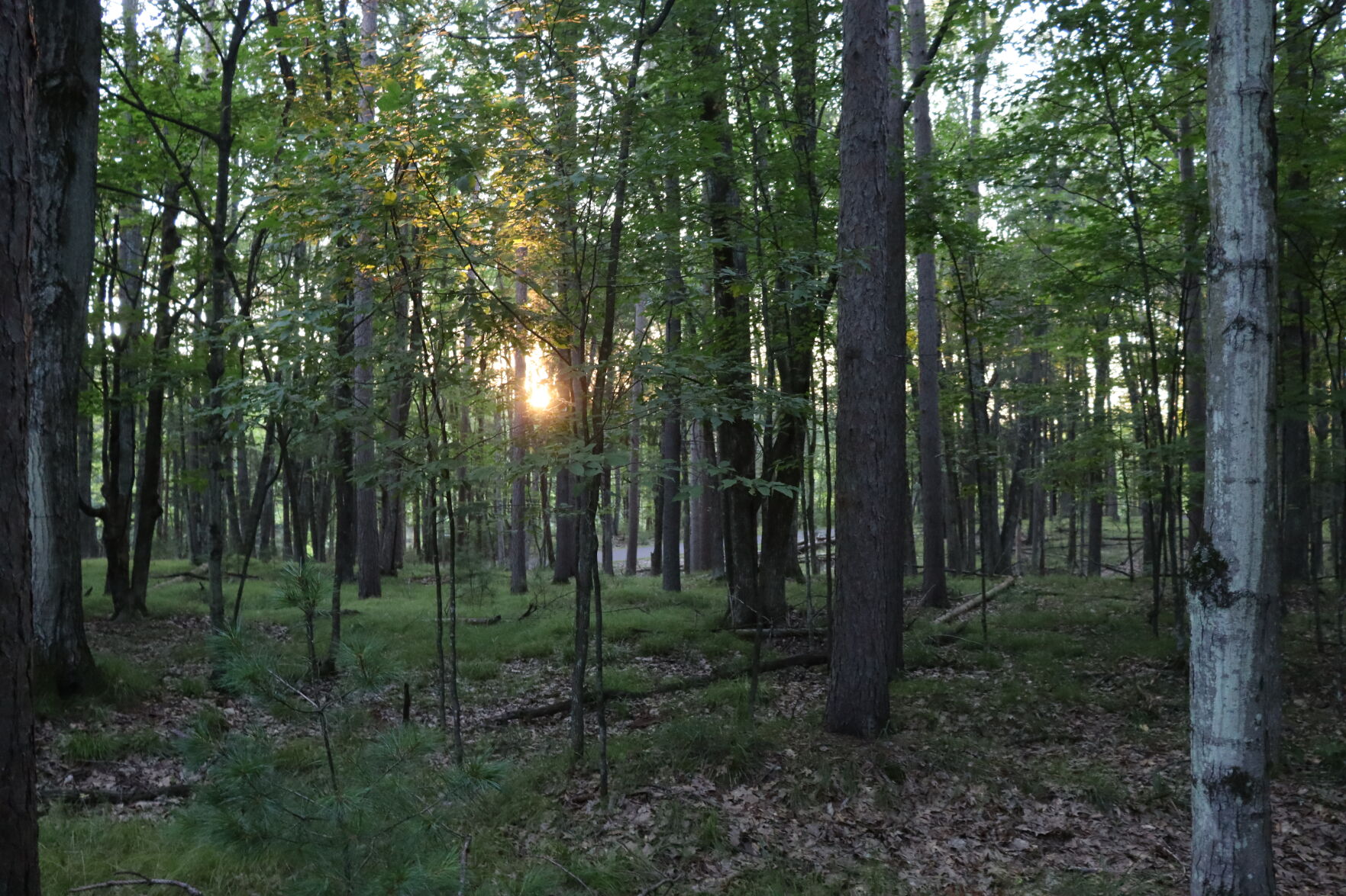 Brunet Island State Park